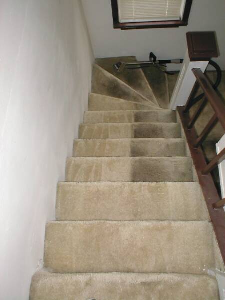before and after carpet cleaning Sandpoint area